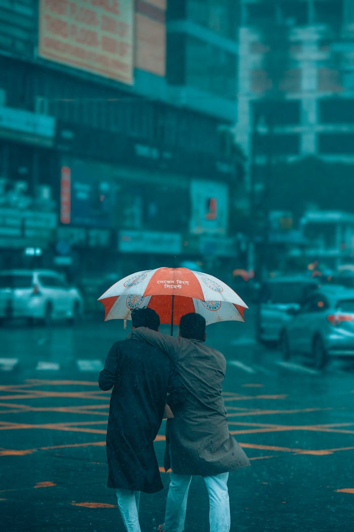 pexels-photo-33503459.png