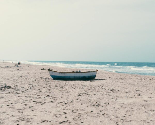 pexels-photo-33519083.png
